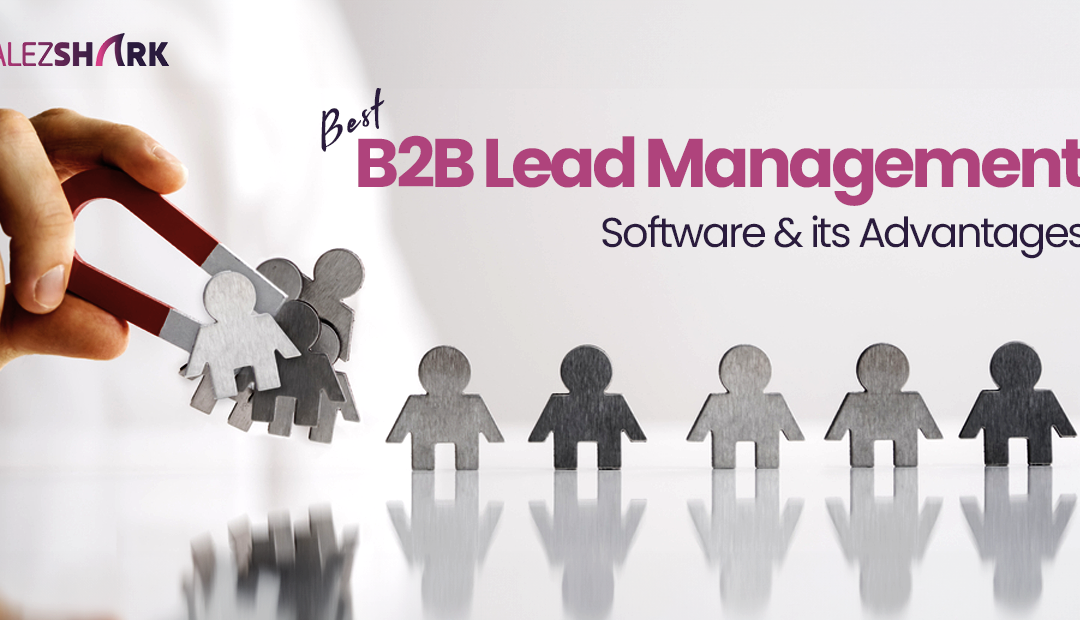 Best B2B Lead Management Software & its Advantages