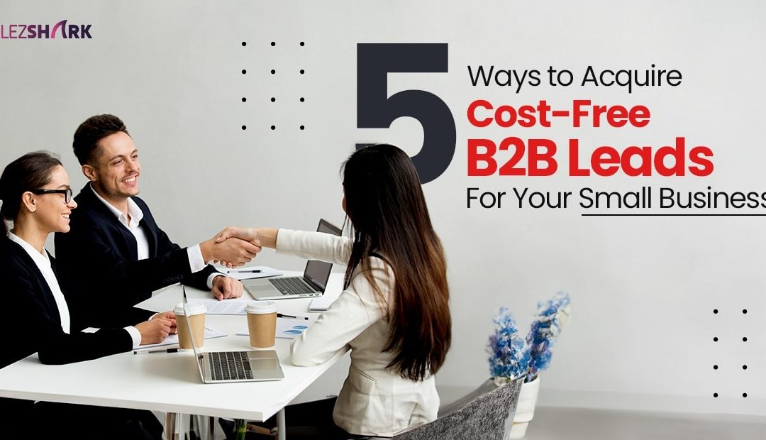 Five Ways to Acquire Cost-Free B2B Leads for Your Small Business