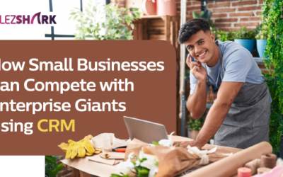 How Small Businesses Can Compete with Enterprise Giants Using CRM