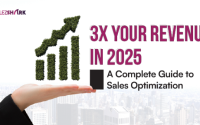 3X Your Revenue in 2025: A Complete Guide to Sales Optimization